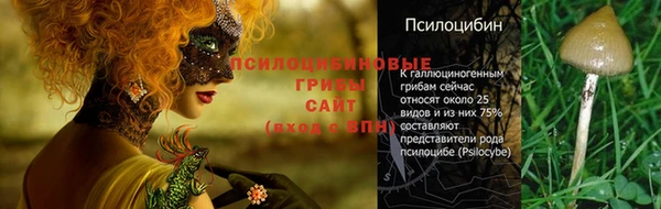 spice Дмитров