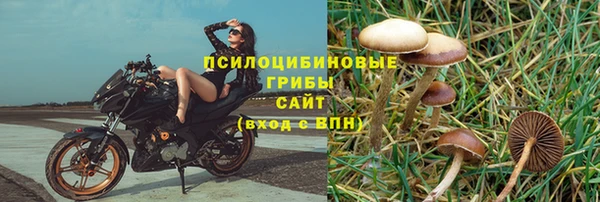 MESCALINE Дмитриев