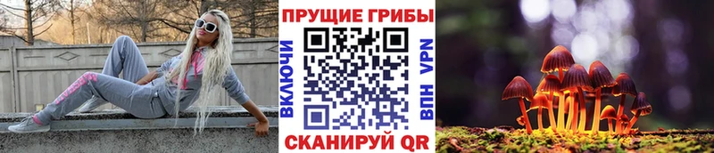 Галлюциногенные грибы прущие грибы  Купить закладки  Зея 